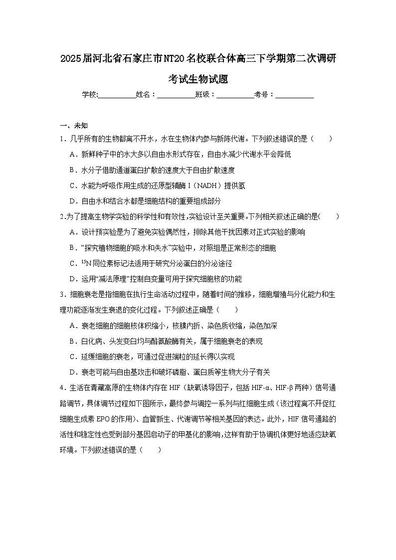 2025届河北省石家庄市NT20名校联合体高三下学期第二次调研考试生物试题（无答案）第1页