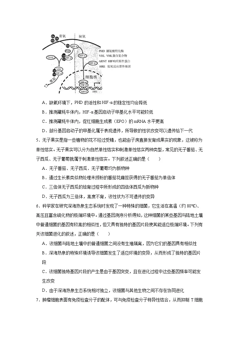 2025届河北省石家庄市NT20名校联合体高三下学期第二次调研考试生物试题（无答案）第2页