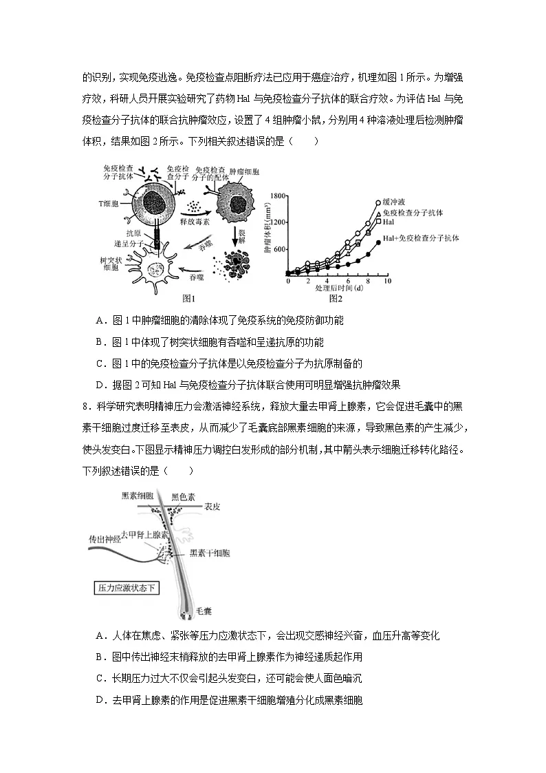 2025届河北省石家庄市NT20名校联合体高三下学期第二次调研考试生物试题（无答案）第3页