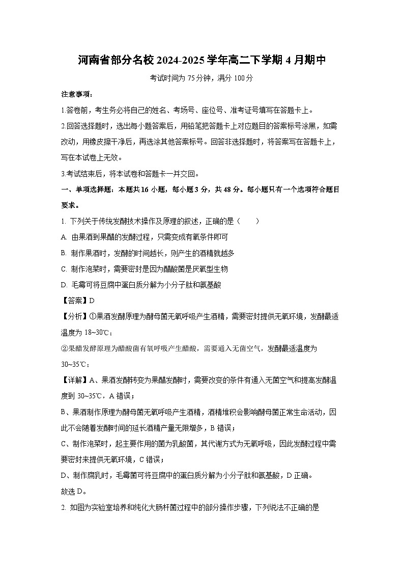 河南省部分名校2024-2025学年高二下学期4月期中生物试题（解析版）第1页