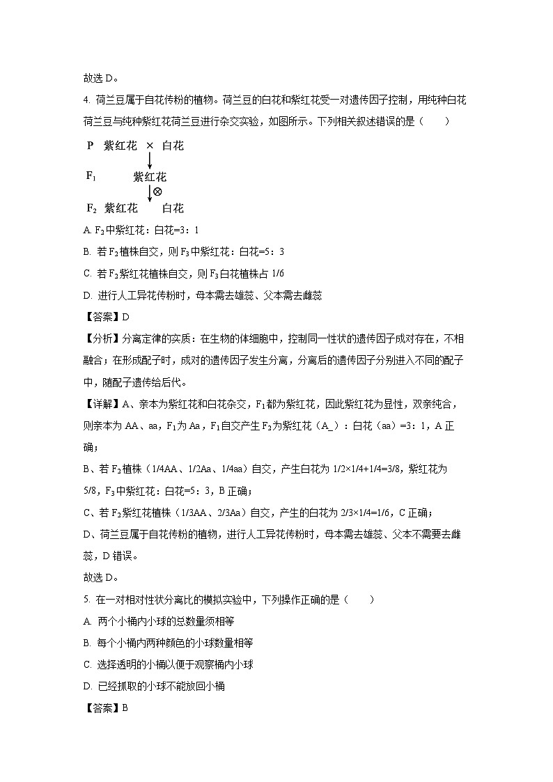 河北省邢台市2024-2025学年高一下学期4月月考生物试题（解析版）第3页
