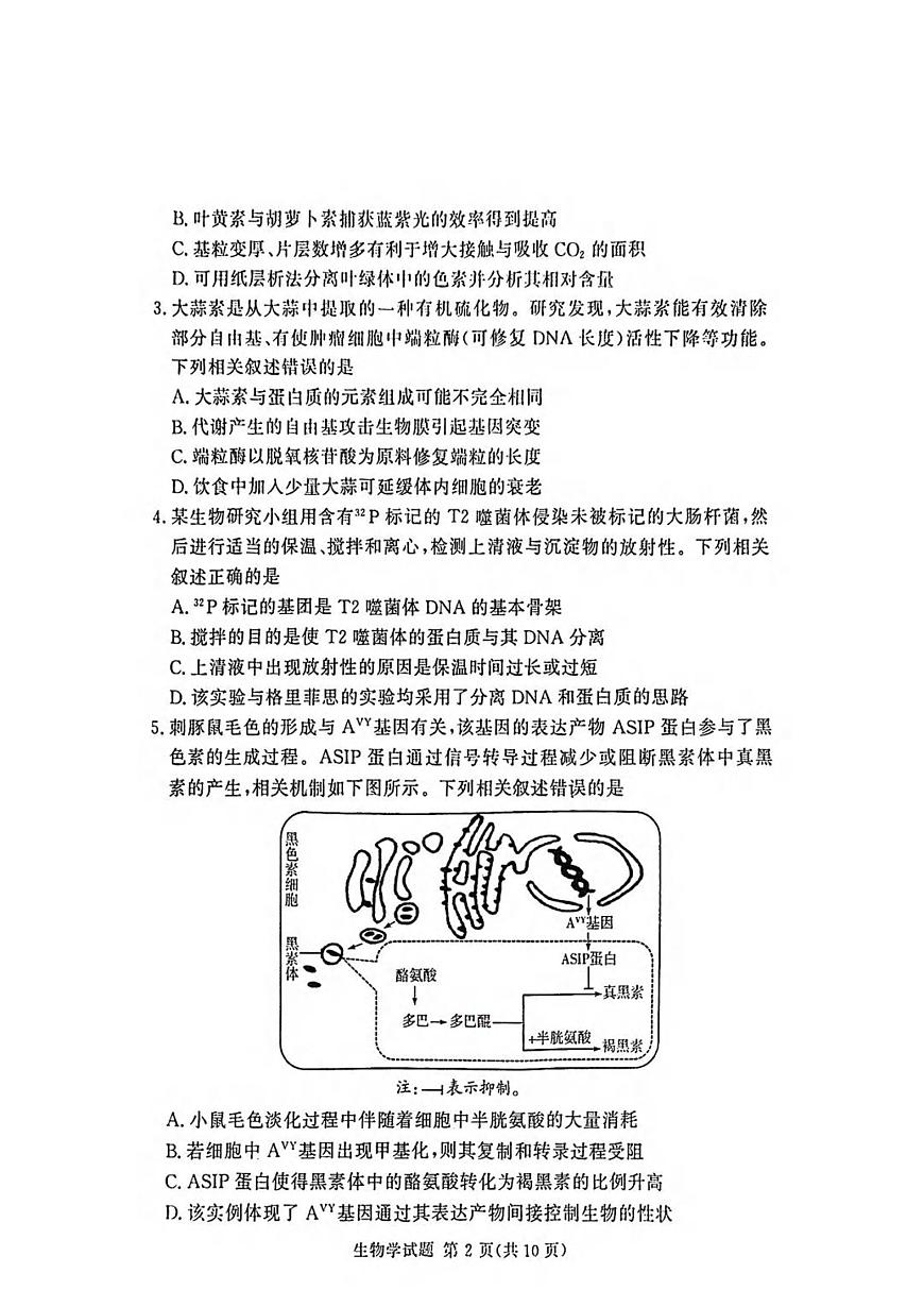 生物丨湘豫名校联考2025届高三下学期4月春季第三次模拟生物试卷及答案第2页