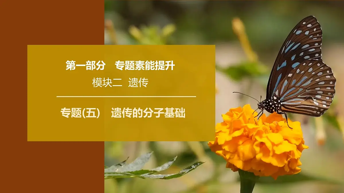 2025年高考生物二轮专题复习课件 06 第一部分 模块二 专题(五) 遗传的分子基础第1页