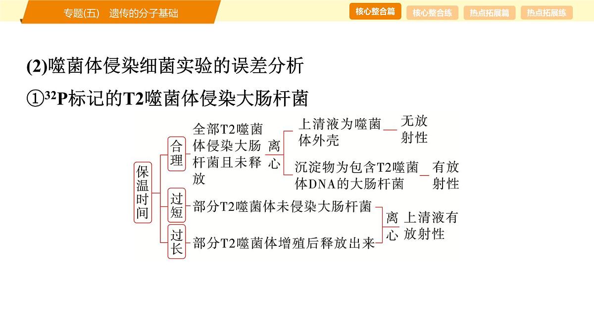 2025年高考生物二轮专题复习课件 06 第一部分 模块二 专题(五) 遗传的分子基础第6页