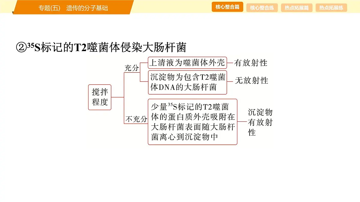2025年高考生物二轮专题复习课件 06 第一部分 模块二 专题(五) 遗传的分子基础第7页