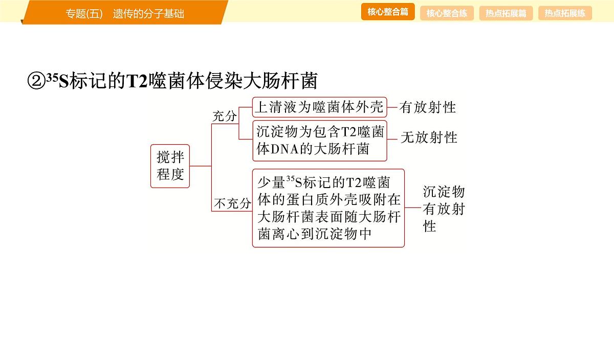 2025年高考生物二轮专题复习课件 06 第一部分 模块二 专题(五) 遗传的分子基础第7页