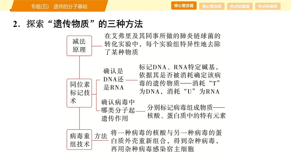 2025年高考生物二轮专题复习课件 06 第一部分 模块二 专题(五) 遗传的分子基础第8页