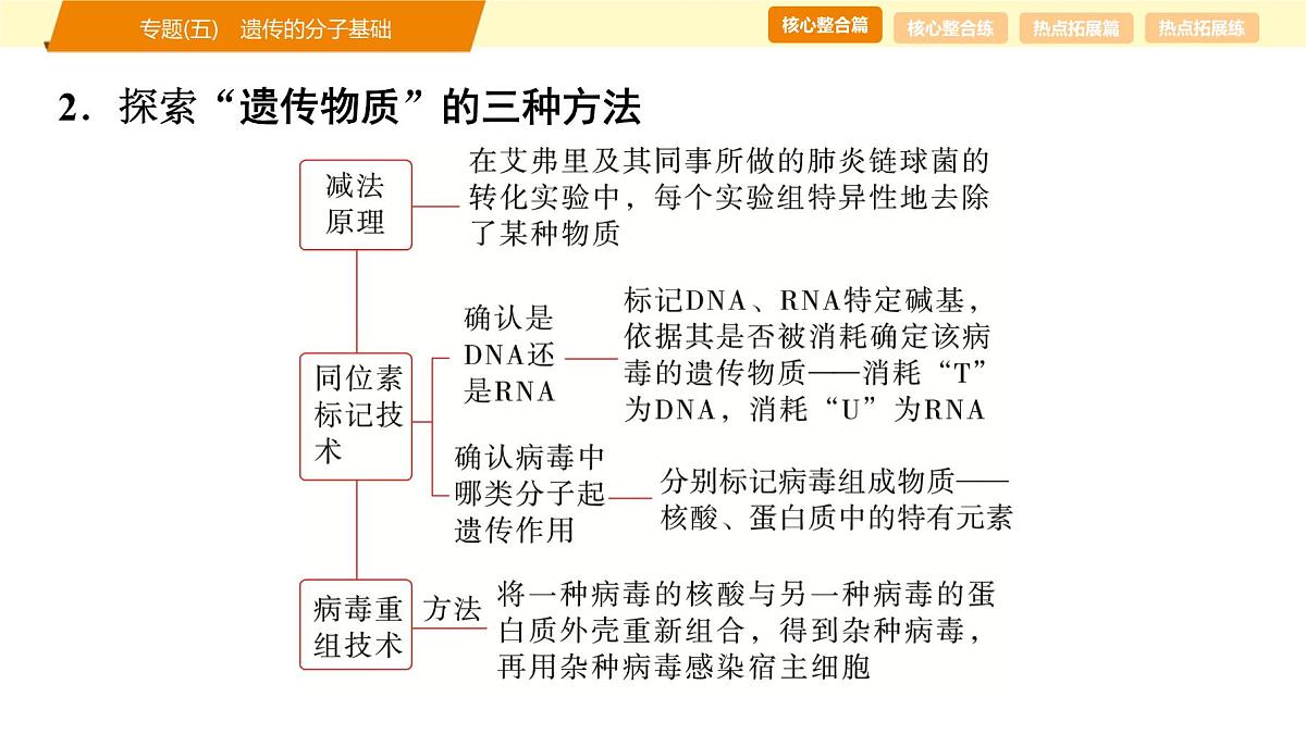 2025年高考生物二轮专题复习课件 06 第一部分 模块二 专题(五) 遗传的分子基础第8页