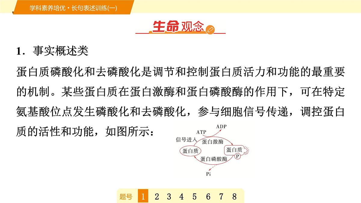 2025年高考生物二轮专题复习课件 05 第一部分 模块一 学科素养培优·长句表述训练(一)第2页