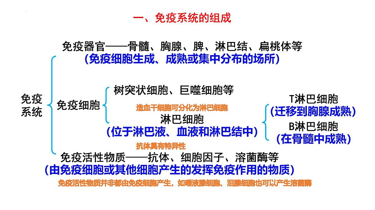 2025届高三生物一轮复习课件：免疫调节+第2页