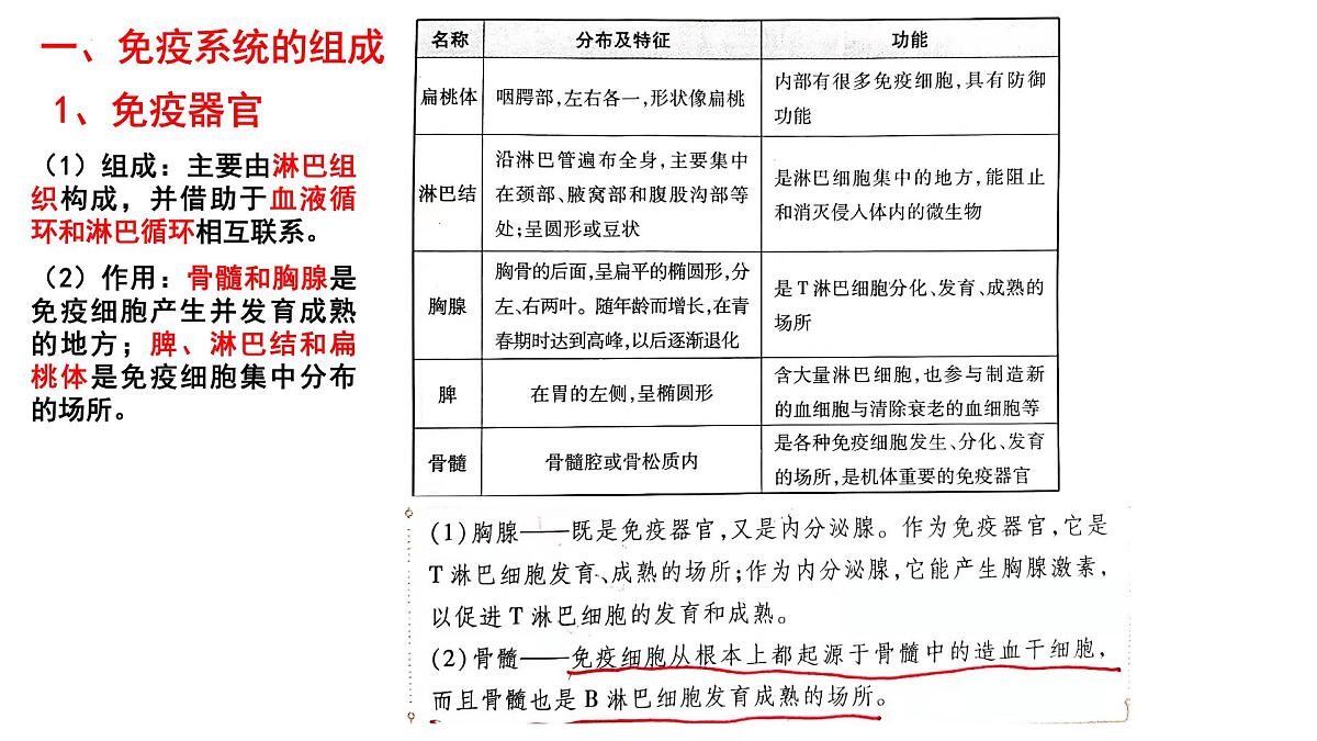 2025届高三生物一轮复习课件：免疫调节+第3页
