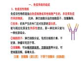 2025屆高三生物一輪復(fù)習(xí)課件：免疫調(diào)節(jié)+
