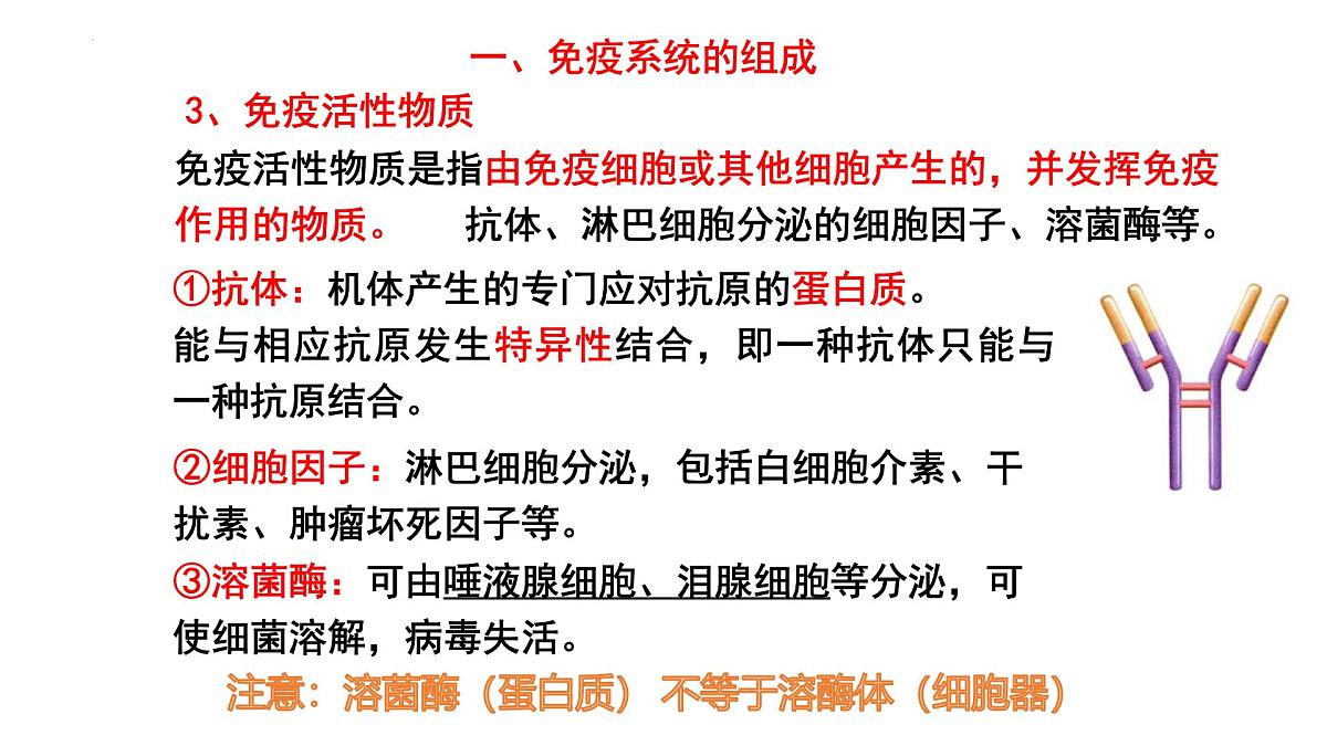 2025届高三生物一轮复习课件：免疫调节+第5页