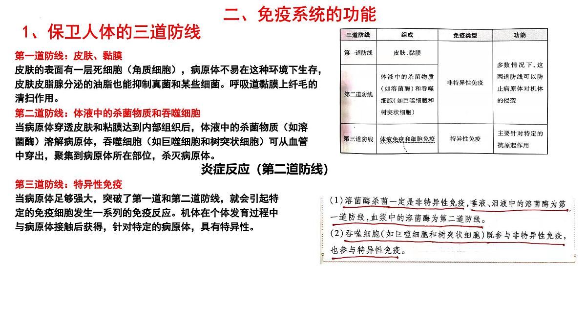 2025届高三生物一轮复习课件：免疫调节+第7页