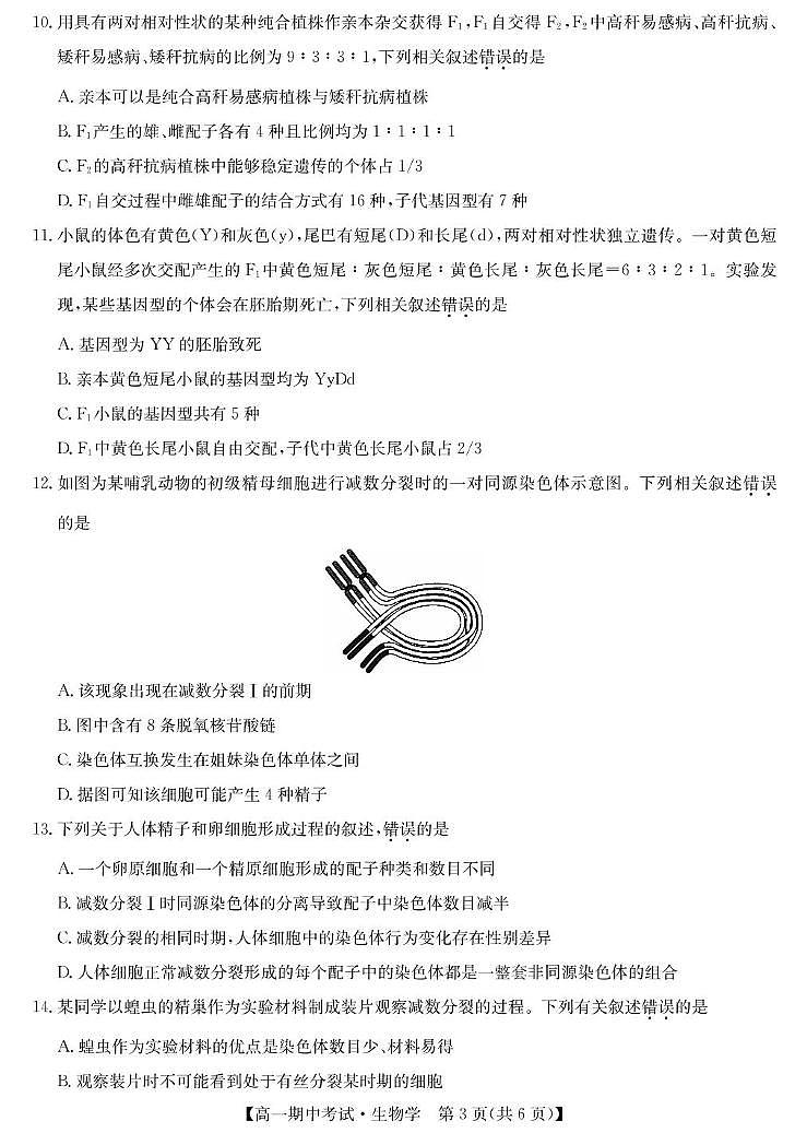 湖北省宜昌市协作体2024-2025学年高一下学期期中考试 生物 PDF版含答案第3页
