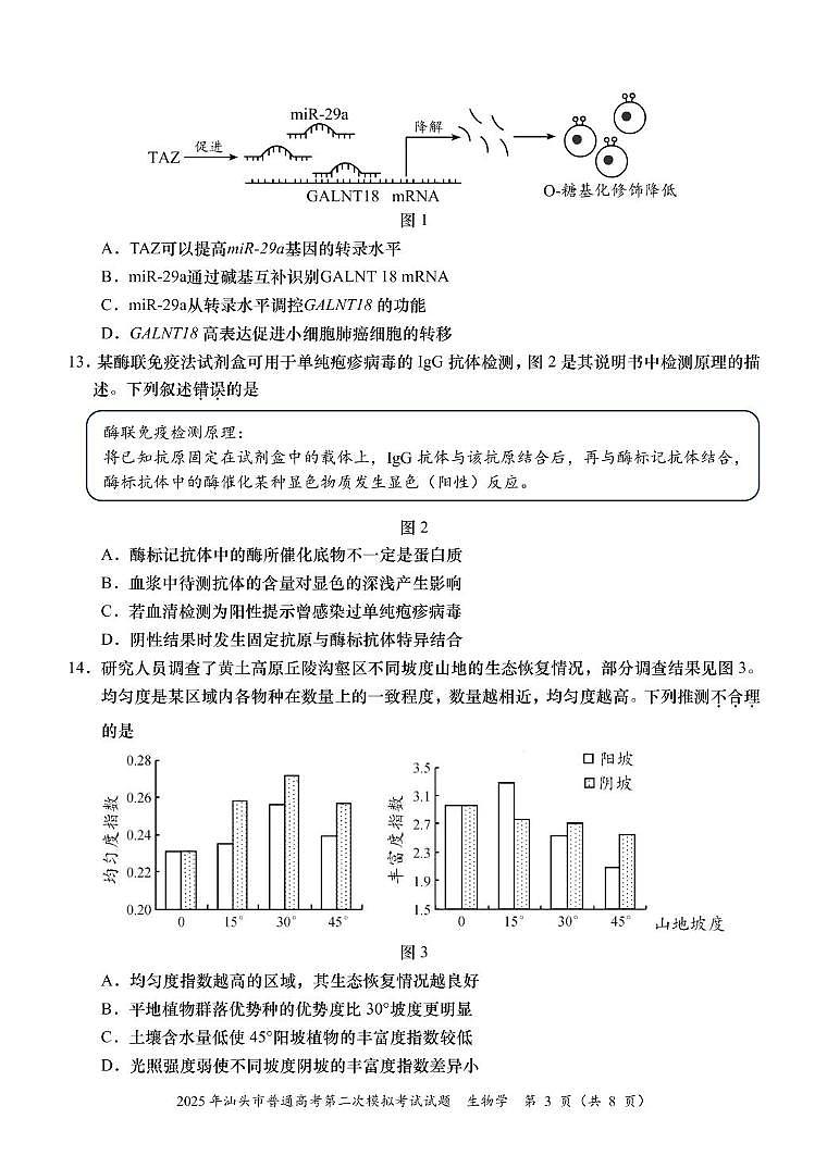 2025届广东省汕头市高三下学期普通高考第二次模拟考试生物学试题第3页