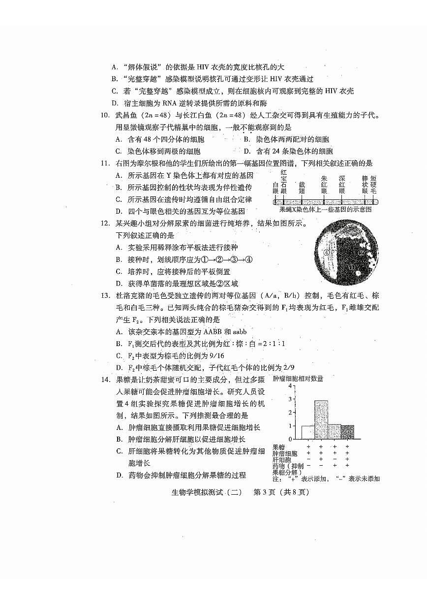 广东省2025年普通高等学校招生全国统一考试模拟测试生物第3页