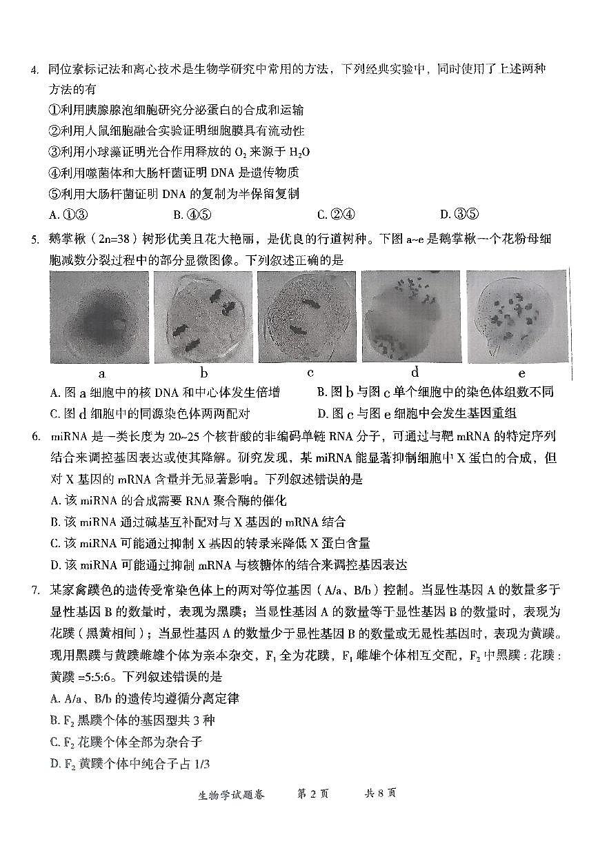云南省曲靖市2024-2025学年高三年级第二次教学质量监测生物第2页
