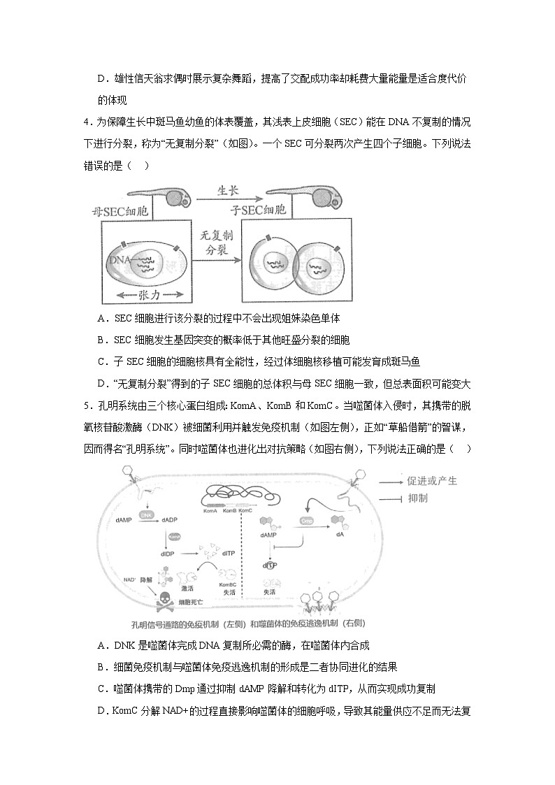 2025届湖北省“新八校”协作体高三下学期5月联考生物试题（无答案）第2页