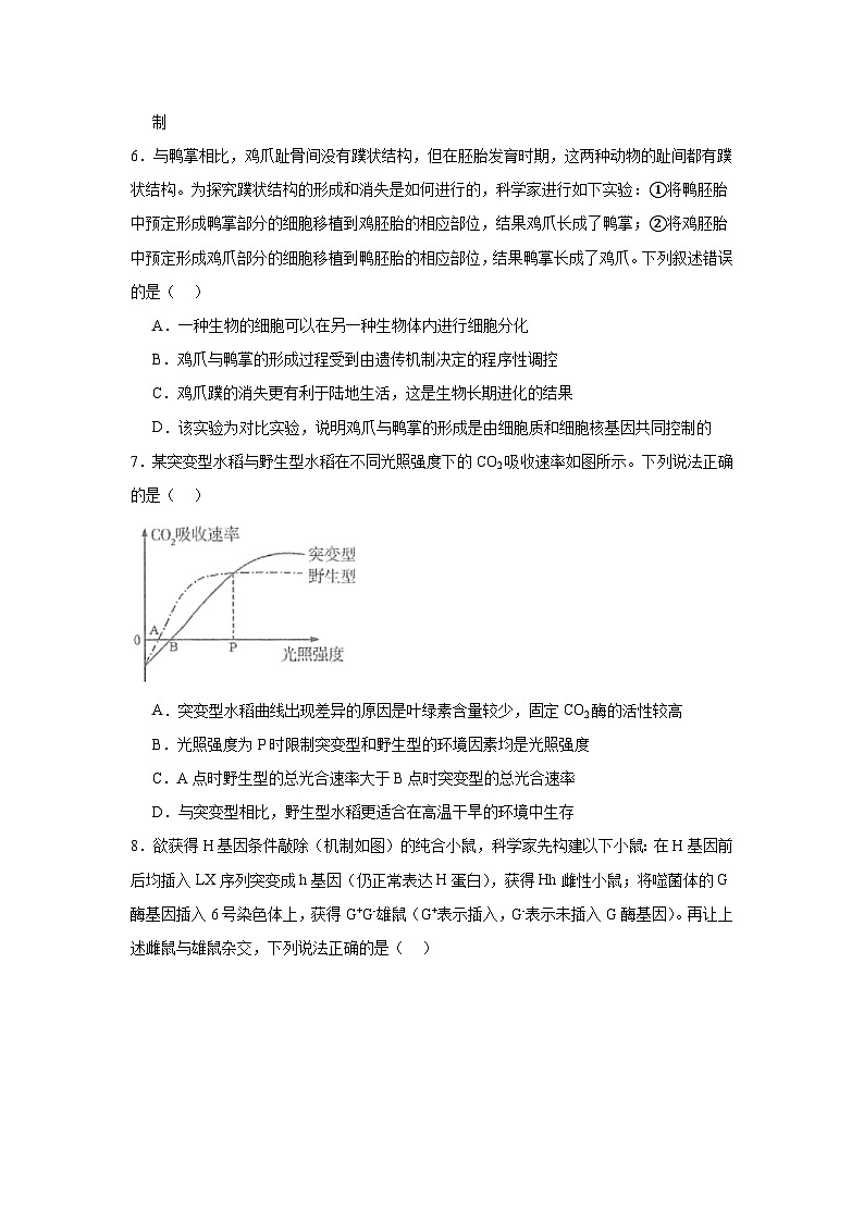 2025届湖北省“新八校”协作体高三下学期5月联考生物试题（无答案）第3页