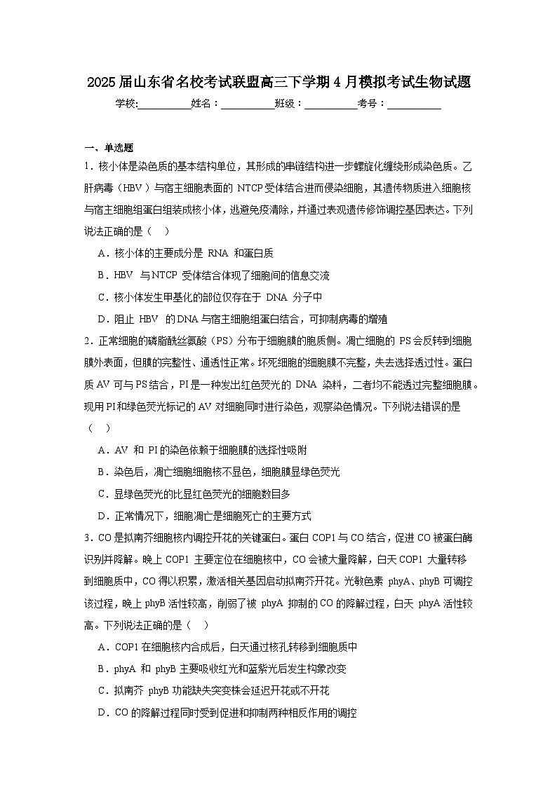 2025届山东省名校考试联盟高三下学期4月模拟考试生物试题（附答案解析）第1页