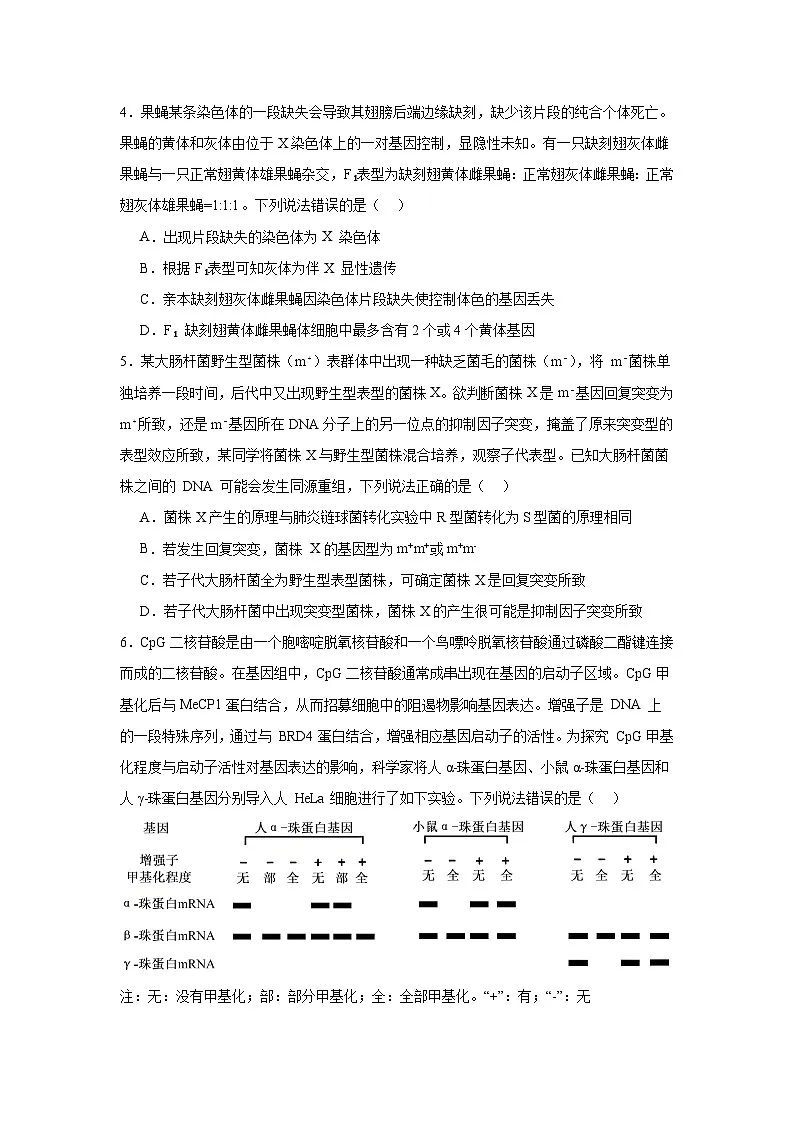 2025届山东省名校考试联盟高三下学期4月模拟考试生物试题（附答案解析）第2页