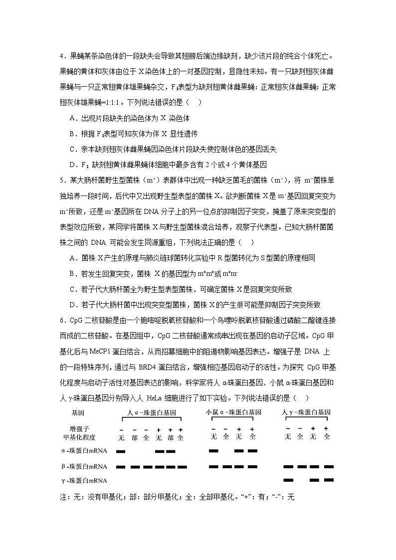 2025届山东省名校考试联盟高三下学期4月模拟考试生物试题（附答案解析）第2页
