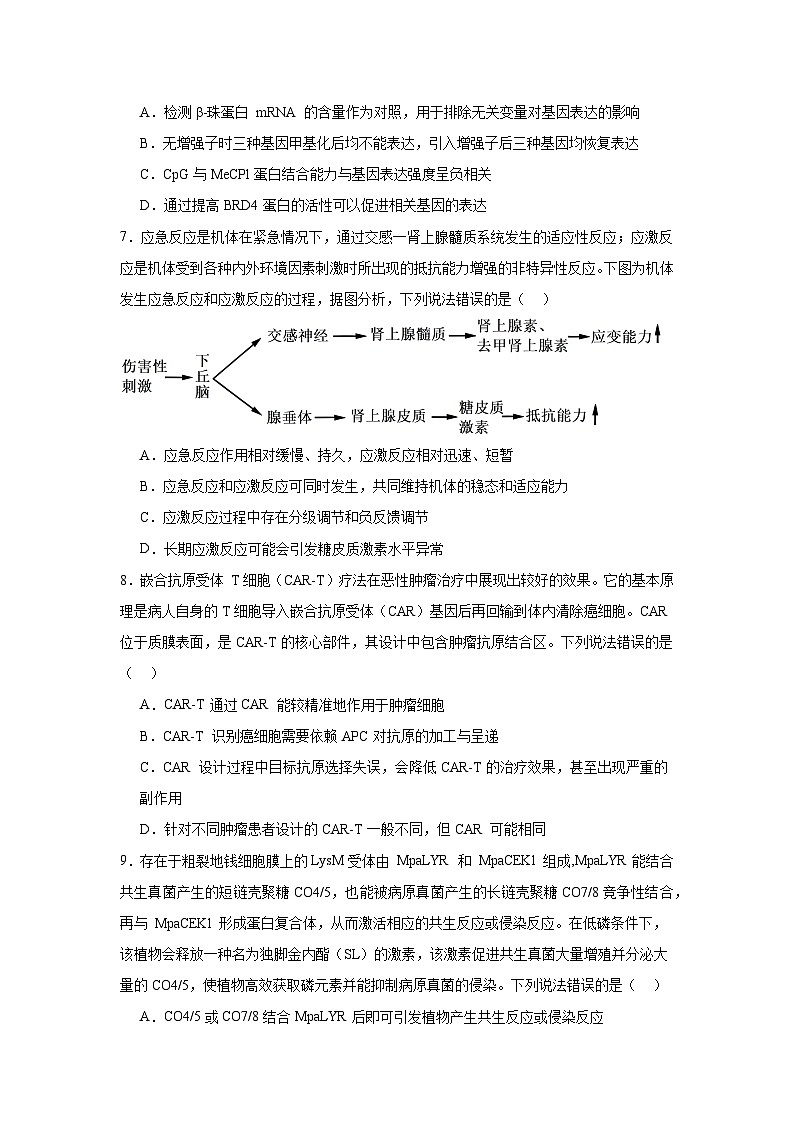 2025届山东省名校考试联盟高三下学期4月模拟考试生物试题（附答案解析）第3页