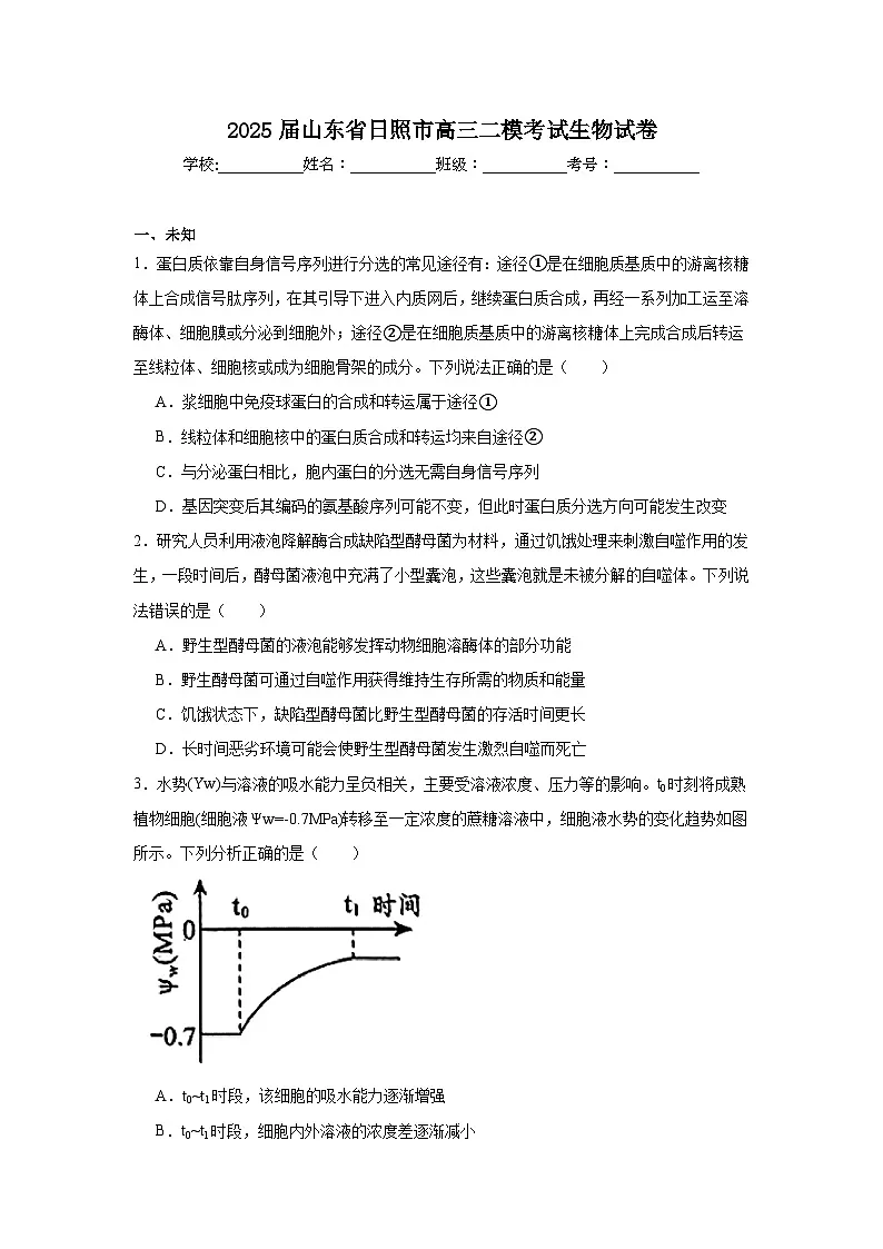 2025届山东省日照市高三二模考试生物试卷（无答案）第1页