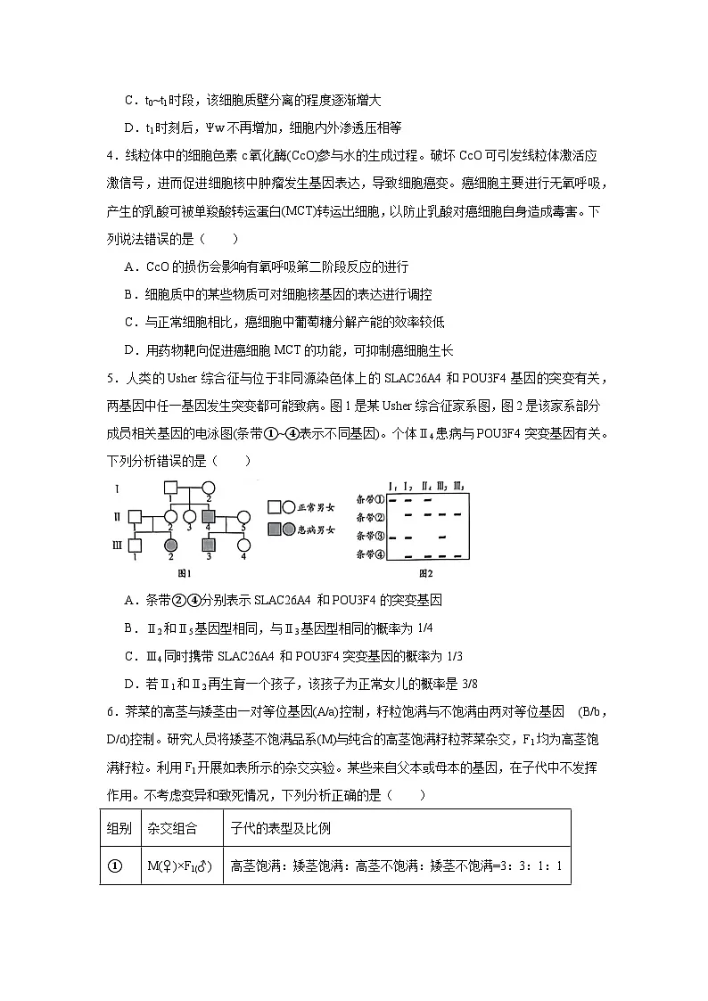 2025届山东省日照市高三二模考试生物试卷（无答案）第2页