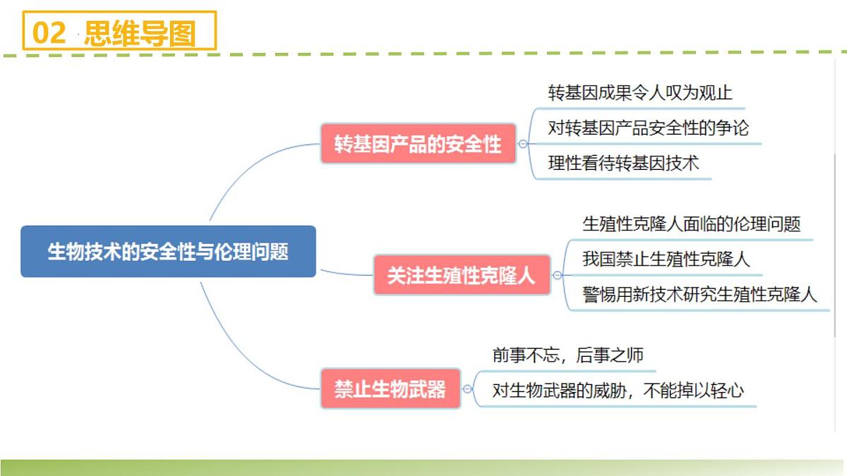 第4章 生物技术的安全性与伦理问题（章末复习课件）-2024-2025学年高二生物（人教版2019选择性必修3）第4页