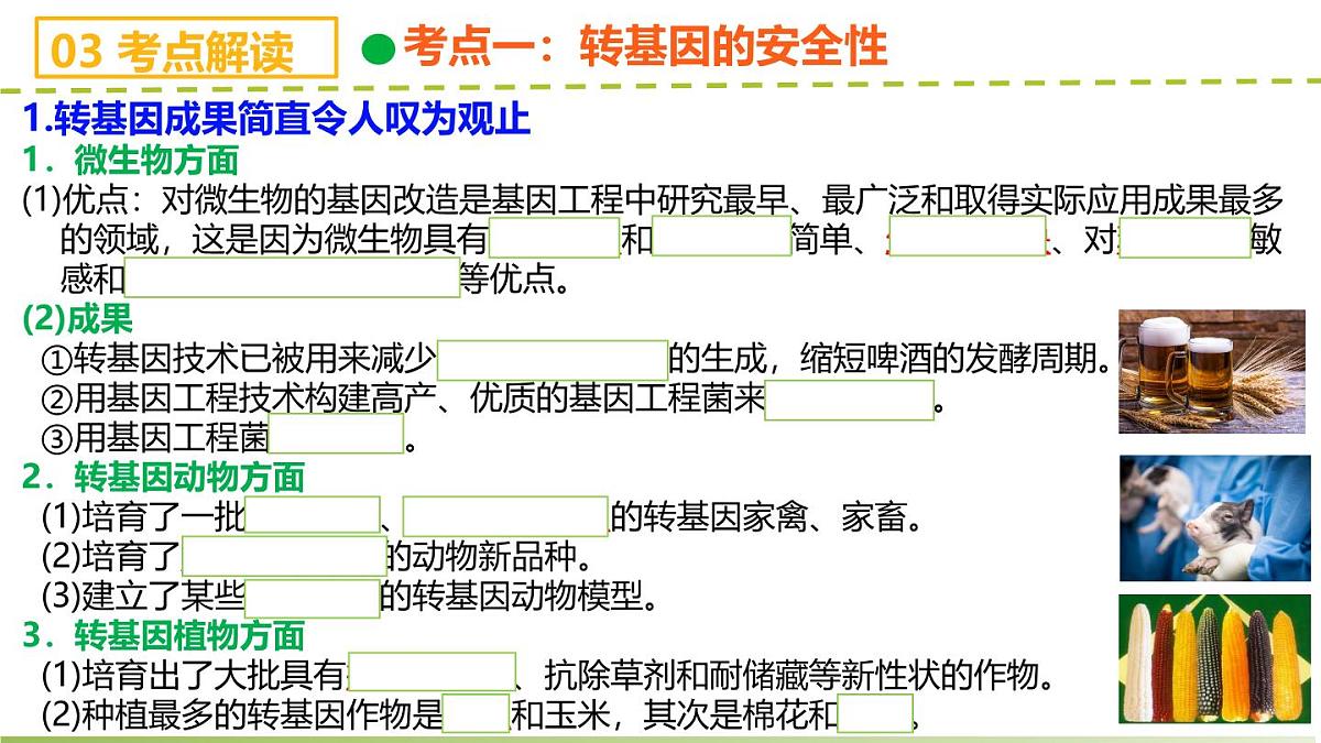 第4章 生物技术的安全性与伦理问题（章末复习课件）-2024-2025学年高二生物（人教版2019选择性必修3）第5页