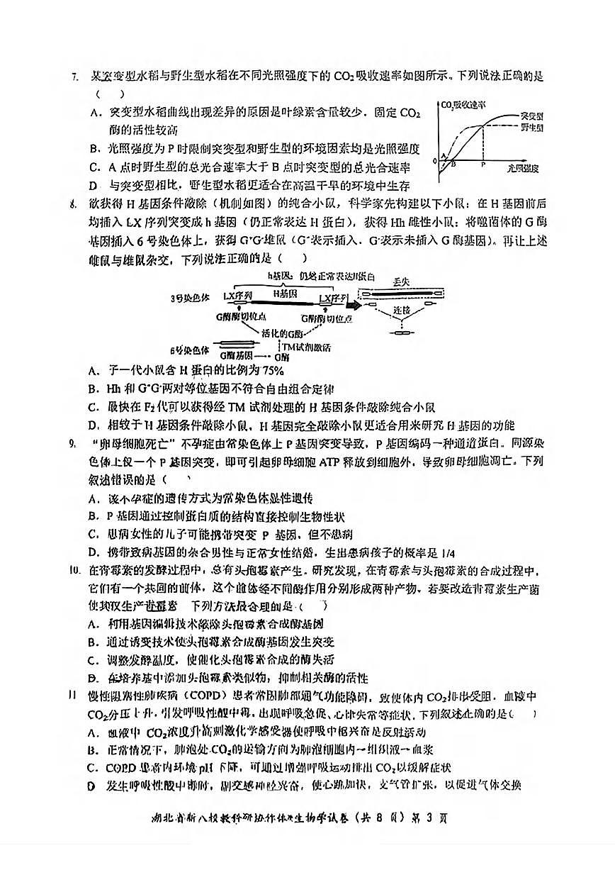生物丨“新八校”协作体湖北省2025届高三下学期5月联考生物试卷及答案第3页
