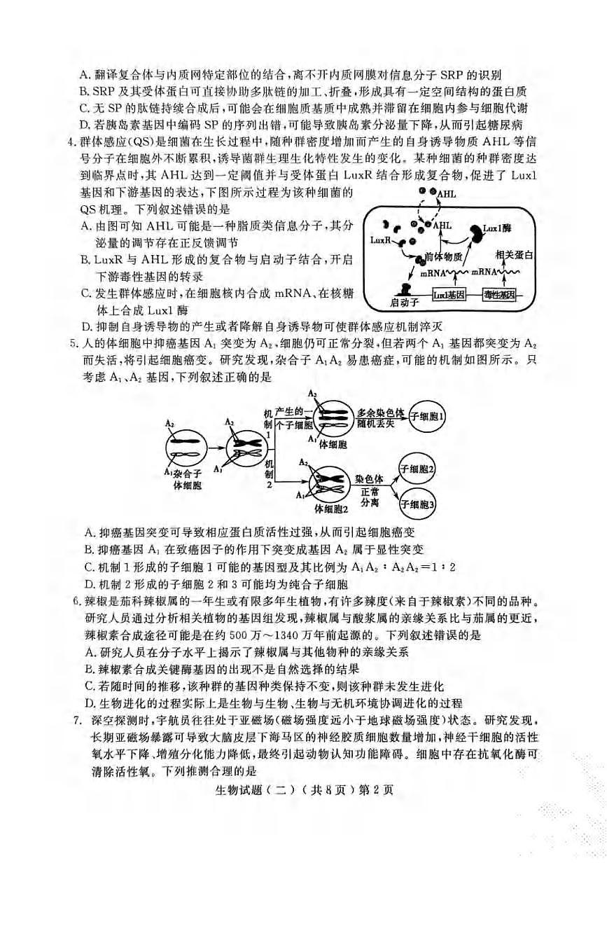 生物丨山东省聊城市2025届高三下学期4月第二次模拟生物试卷及答案第2页
