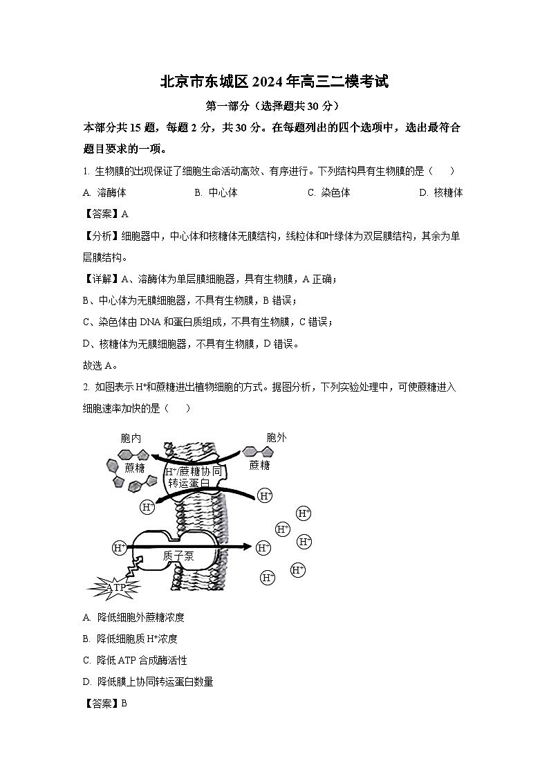 北京市东城区2024年高三二模考试生物（解析版）第1页