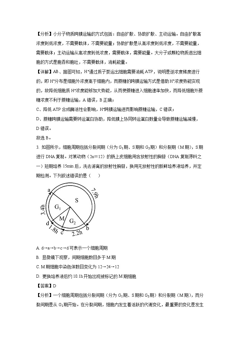 北京市东城区2024年高三二模考试生物（解析版）第2页