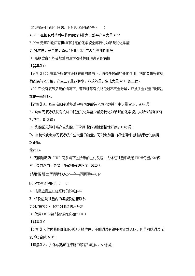 北京市朝阳区2024年高三二模考试生物（解析版）第2页