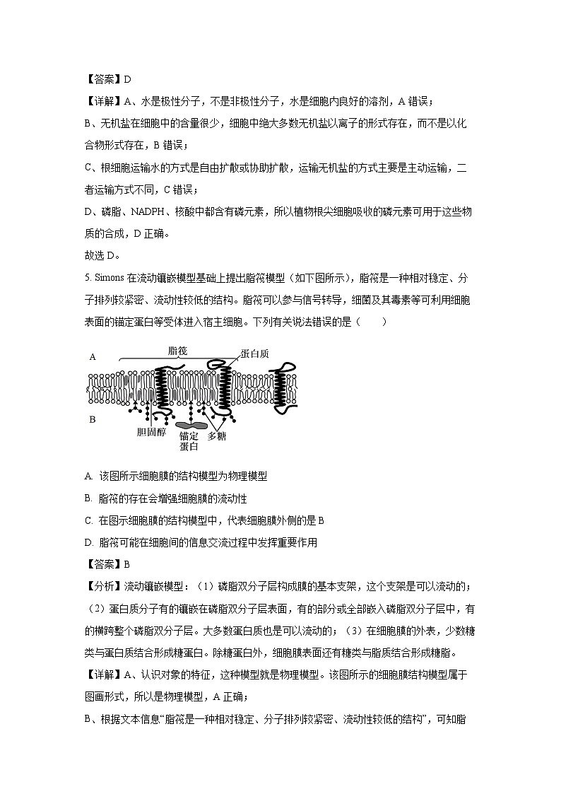 陕西省西安市新城区2024-2025学年高一上学期1月期末生物试题（解析版）第3页