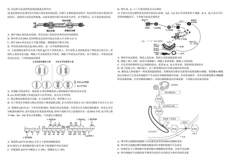 2025届东北三省三校（哈尔滨师大附中、东北师大附中、辽宁省实验中学）高考第二次联合模拟考试生物试题含答案第2页