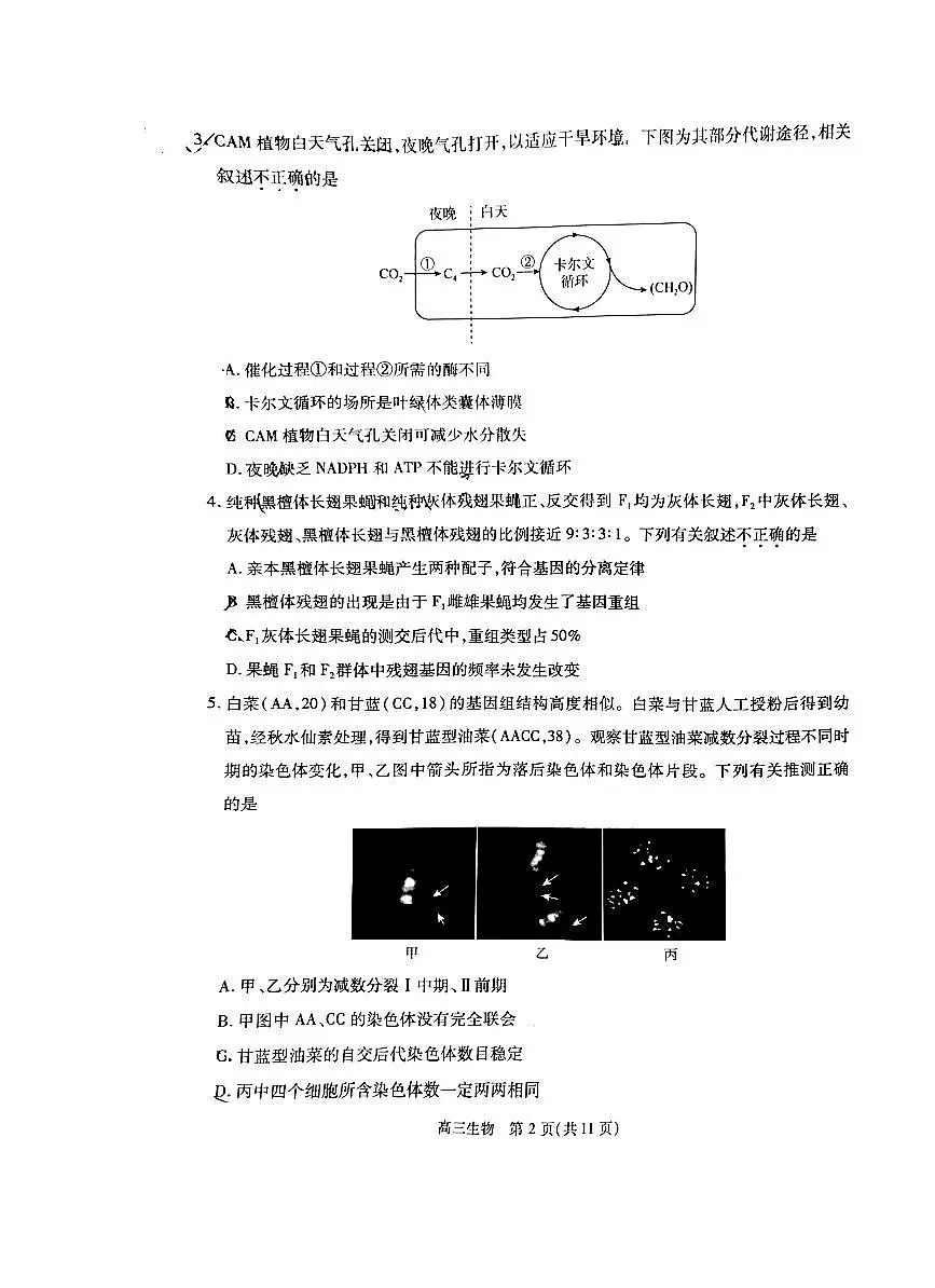 2024北京丰台高考一模生物试题及答案第2页