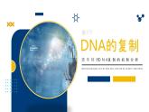 高中生物人教版（2019）必修二3.3DNA的复制课件