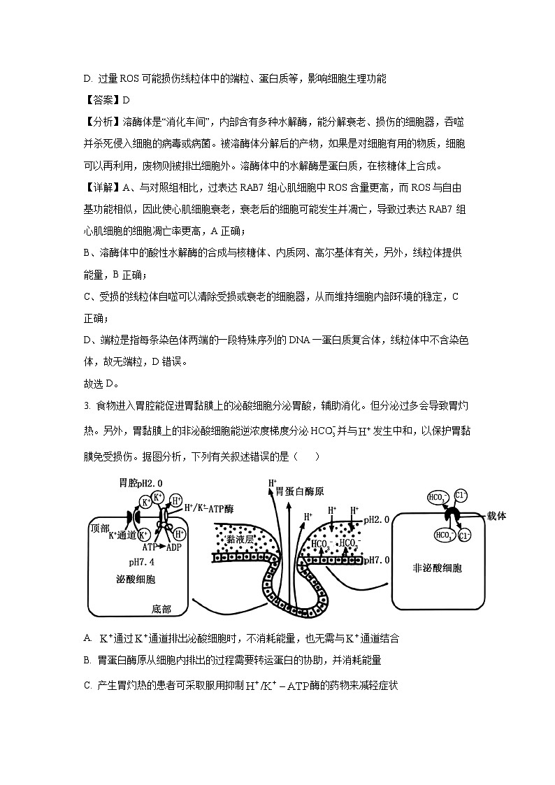 江西省重点中学协作体2025届高三下学期开学第一次联考生物（解析版）第2页