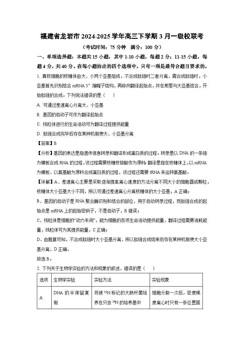 福建省龙岩市2024-2025学年高三下学期3月一级校联考生物（解析版）第1页