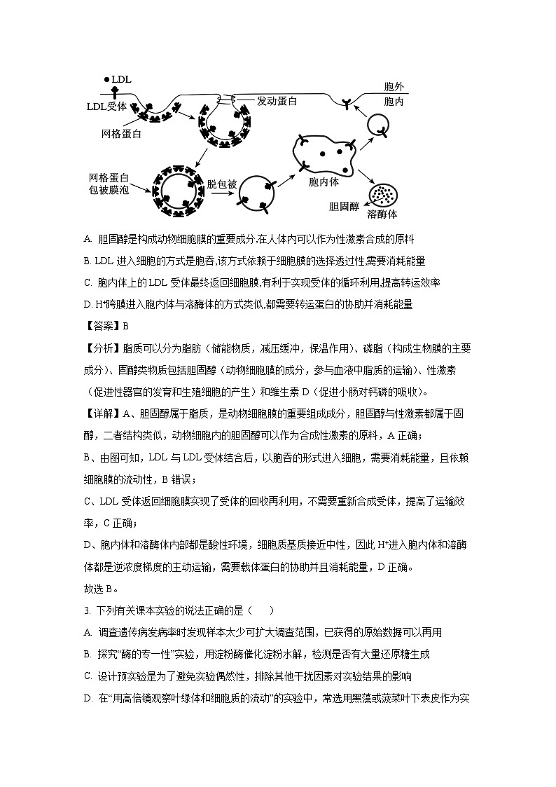 甘肃省张掖市某校2024-2025学年高三下学期二月检测生物（解析版）第2页