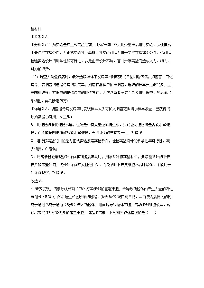 甘肃省张掖市某校2024-2025学年高三下学期二月检测生物（解析版）第3页