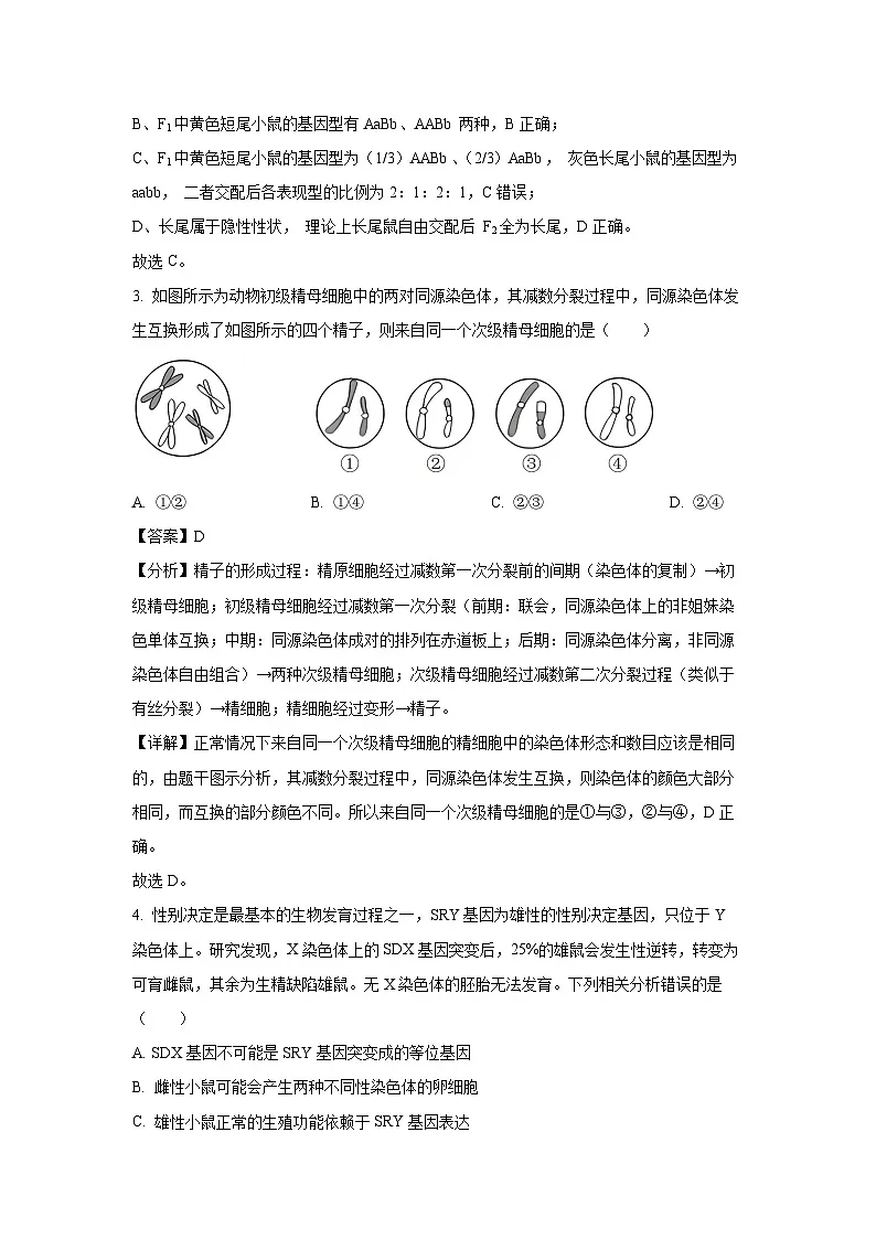 湖南省邵阳市邵东市2023-2024学年高一下学期期末考试生物试题（解析版）第2页