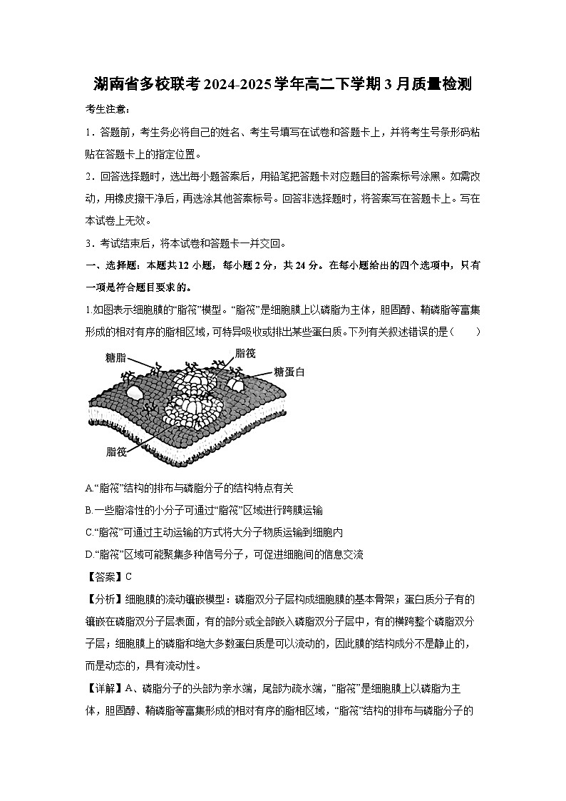 湖南省多校联考2024-2025学年高二下学期3月质量检测生物（解析版）第1页