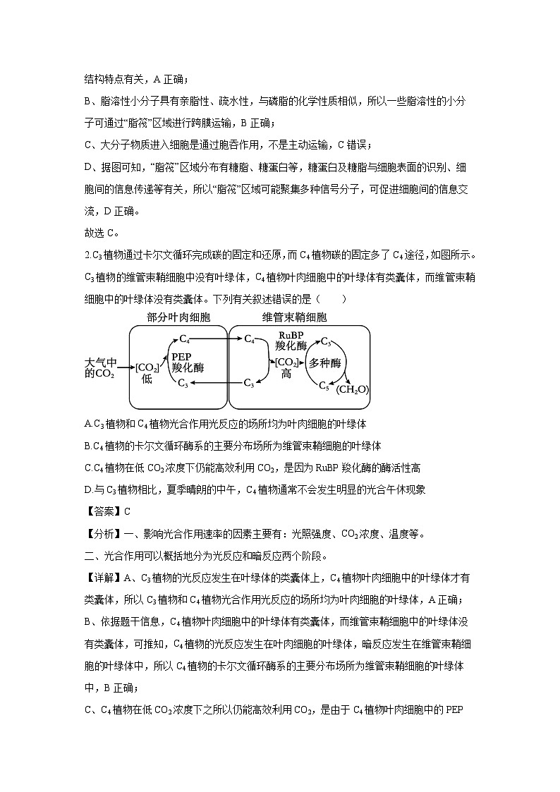 湖南省多校联考2024-2025学年高二下学期3月质量检测生物（解析版）第2页