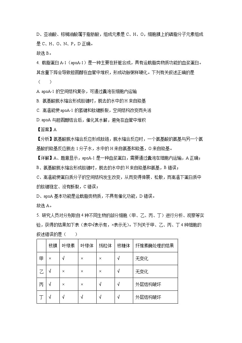 湖北省荆楚优质高中联盟2024-2025学年高一下学期3月月考生物试卷（解析版）第3页