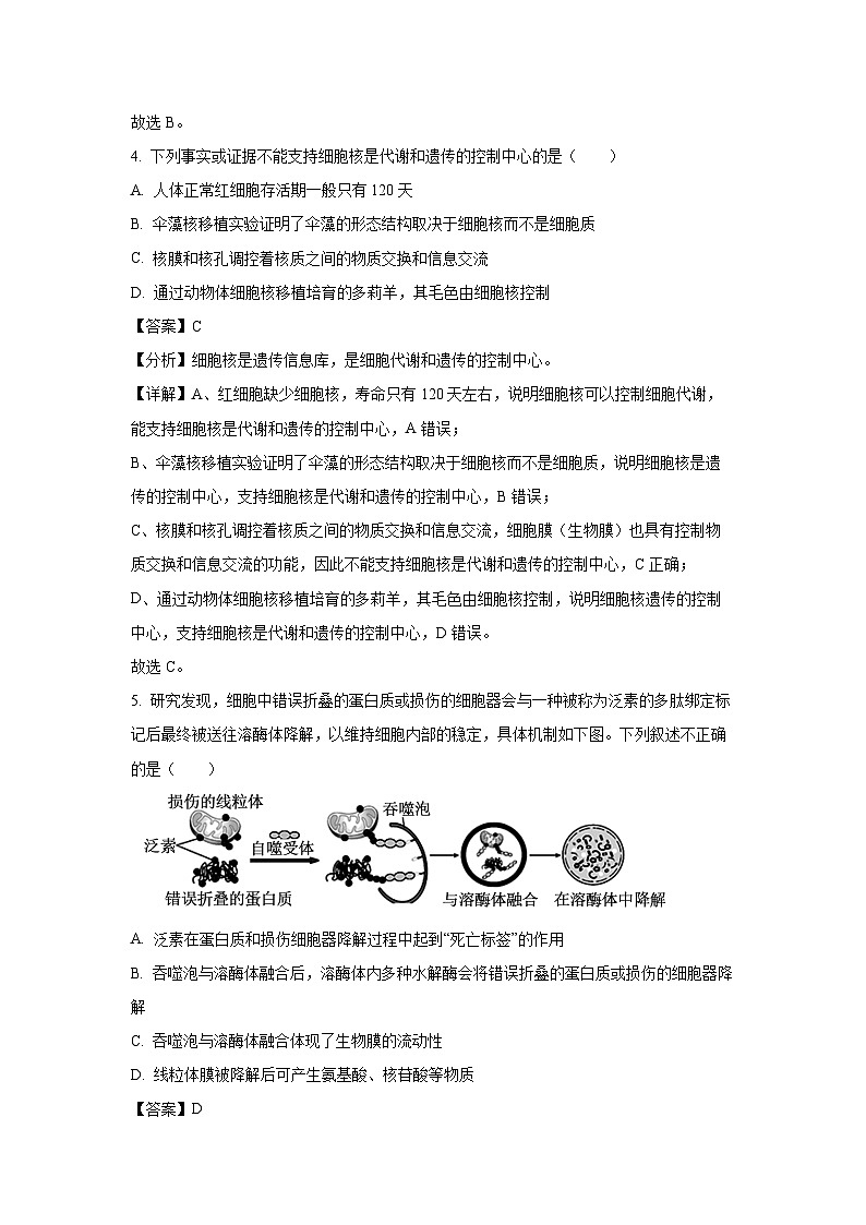 湖北省十堰市六县市区一中教联体学校2024-2025学年高一下学期3月月考生物试题（解析版）第3页